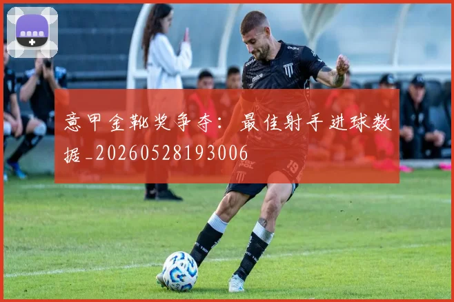 意甲金靴奖争夺:最佳射手进球数据_20260528193006