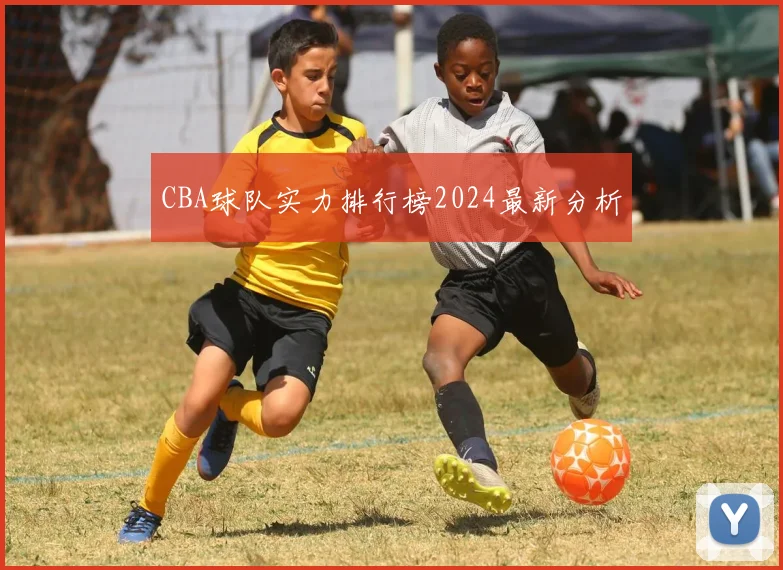 CBA球队实力排行榜2024最新分析