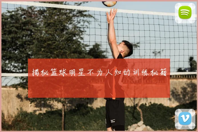 揭秘篮球明星不为人知的训练秘籍
